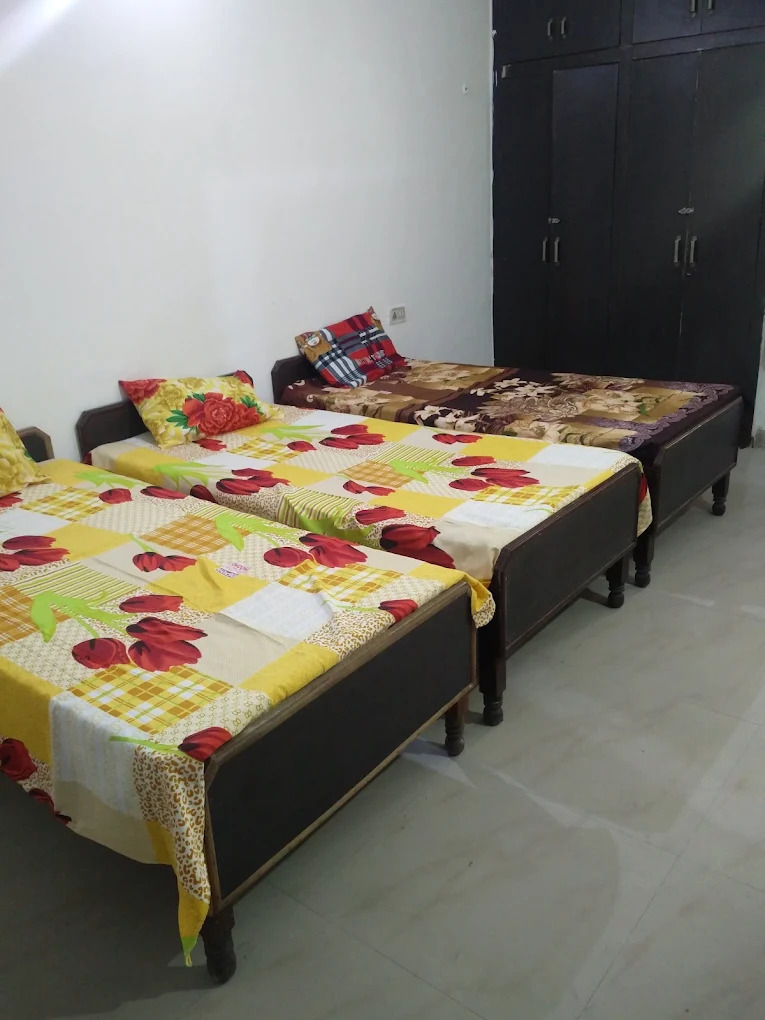 Green Home Girls PG photo 2