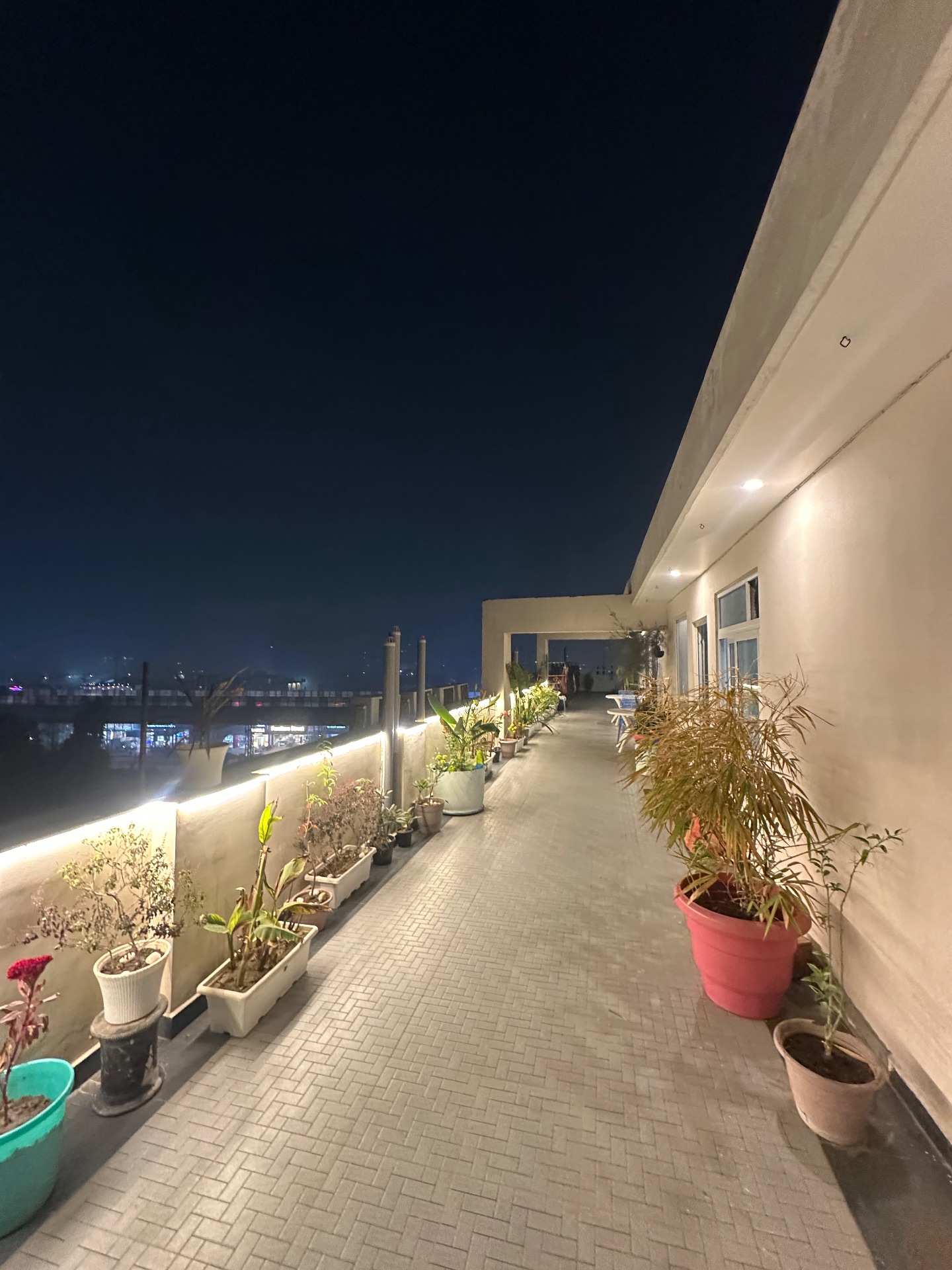 Lime Living Luxe Living photo 7